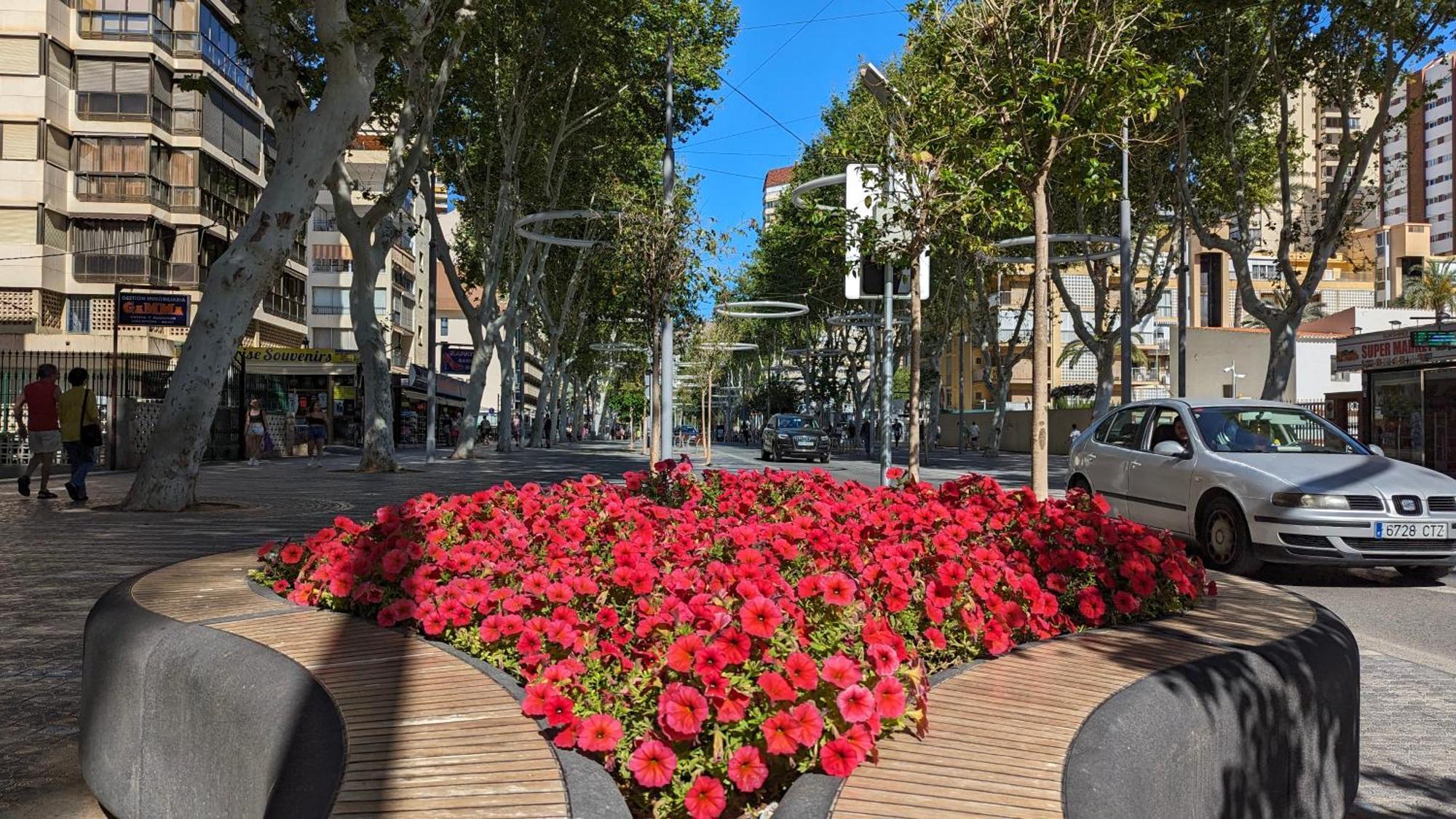 Las Olas 0Ld Town Apartments 貝尼多姆 外观 照片